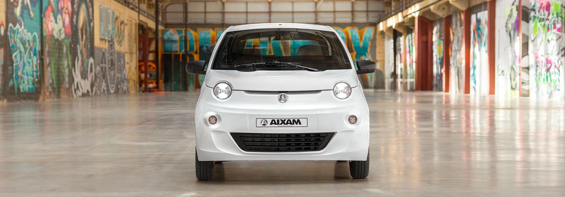 zoom_aixam_easy_access